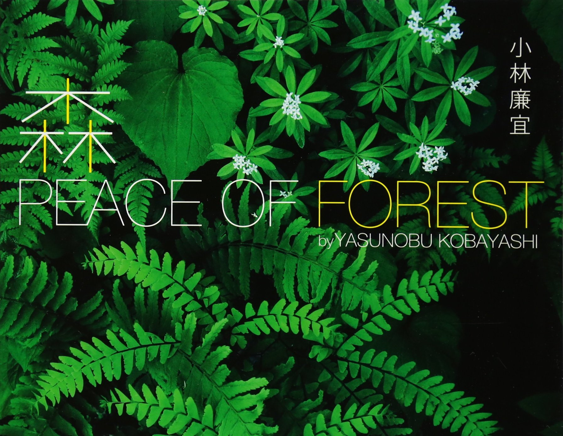 森 PEACE OF FOREST
